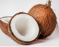 mature Coconut